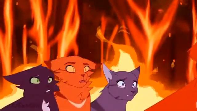 Коты Воители August клип :3 смотреть онлайн