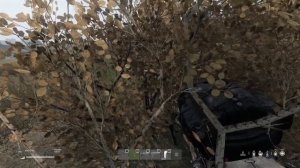 gagasha moments (сходили «Пыс Пыс»)