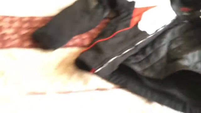 Мотоэкипировка - часть 2