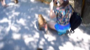 Путешествие в Китай. Хайнань Отель GOLDEN PALM RESORT