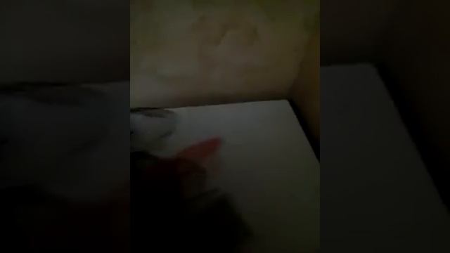 Детские туфли на каблуке! смотреть онлайн