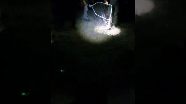 Ночная рыбалка на тереке смотреть онлайн