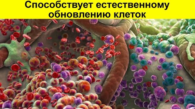 Даже один МАНДАРИН вызывает НЕОБРАТИМЫЙ процесс в организме смотреть онлайн