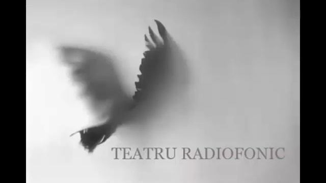 Dumitru Radu Popescu - Muntele ( partea I ) смотреть онлайн