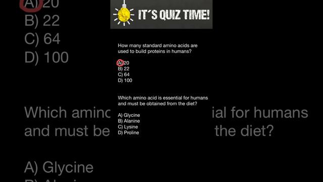 Essential Amino Acids смотреть онлайн
