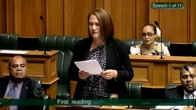 Social Workers Registration (Mandatory Registration) Amendment Bill - First reading - Part 1 смотреть онлайн