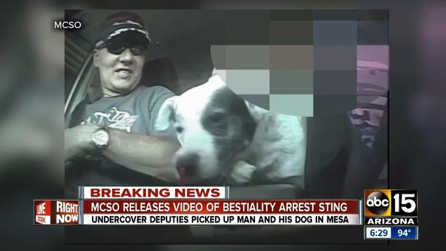 MCSO releases video of bestiality sting смотреть онлайн