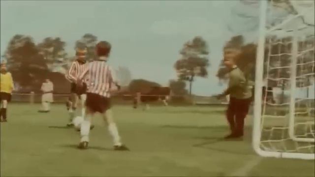 RONNIE STAM BIJ CALVÉ! (Calvé Pietertje Reclame Parody) смотреть онлайн