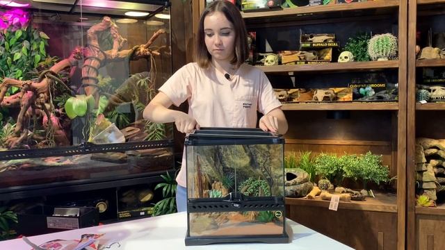 Обзор на термометры и гигрометры смотреть онлайн