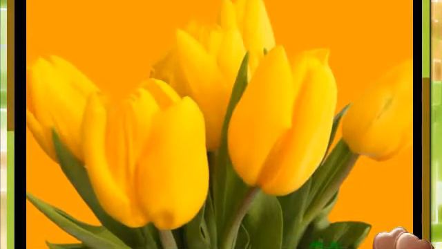 ЖЕЛАЮ СЧАСТЬЯ!!! смотреть онлайн