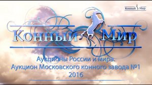 Аукцион 2016 на Московском конном заводе № 1. Конный мир.