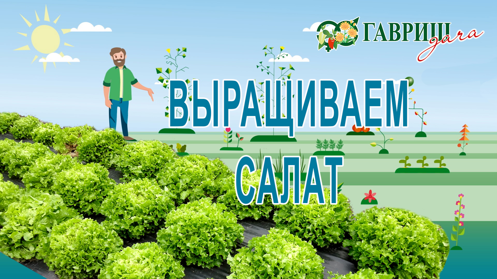 ВЫРАЩИВАЕМ САЛАТ смотреть онлайн