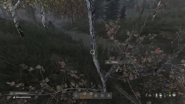 Превед медвед.. смотреть онлайн