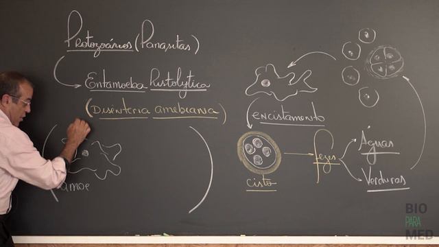 UNIFESP 2021- Questão 1: Protozooses смотреть онлайн