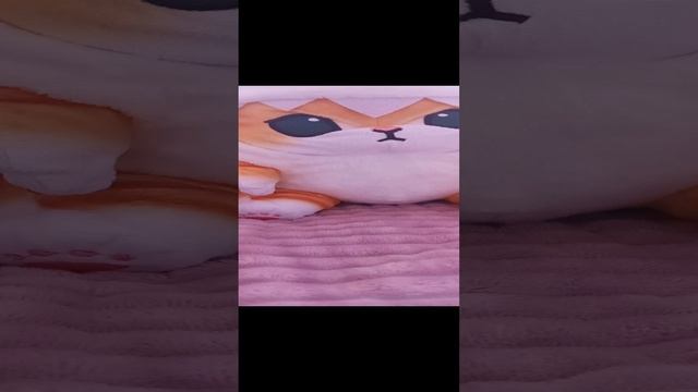 ✉️короче новости? смотреть онлайн