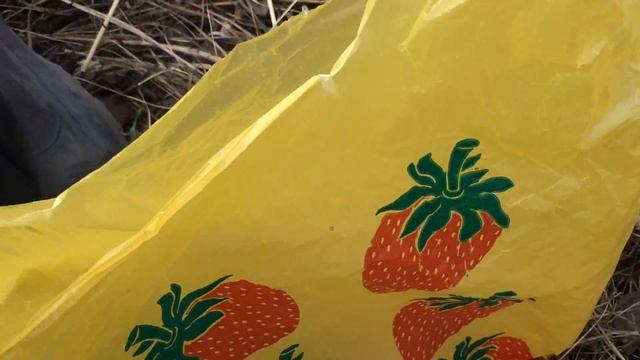 Озеро кривое .Рыбачим уклейку.Новокузнецк 21.04.2018 смотреть онлайн