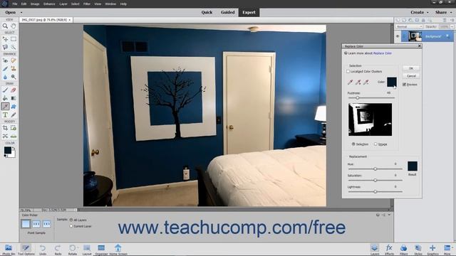 Photoshop Elements 2020 Tutorial Replacing Color Adobe Training смотреть онлайн