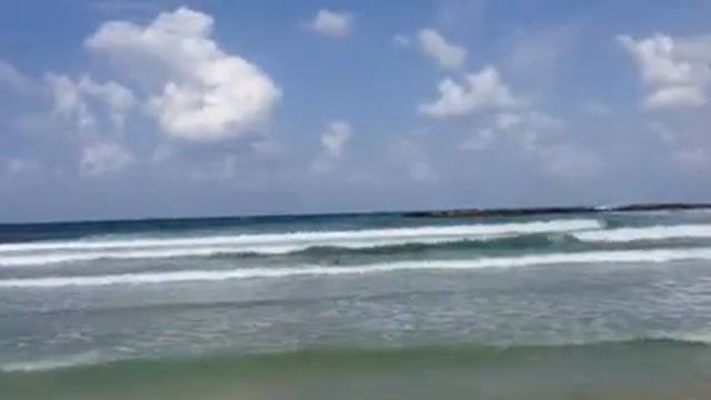 Купание в холодном Средиземном море смотреть онлайн