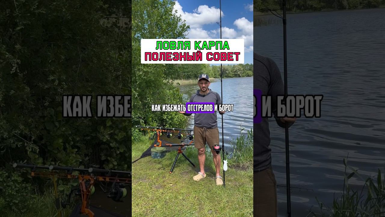 Ловля карпа. Как избежать бород и отстрелов при бросках #карпфишинг смотреть онлайн
