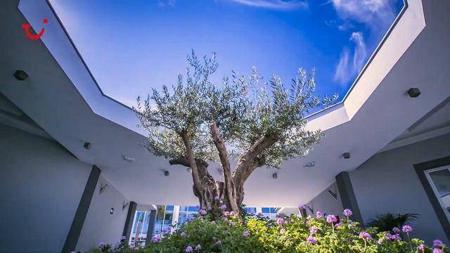 TUI Sensimar Royal Palm Resort & Spa - Espagne смотреть онлайн
