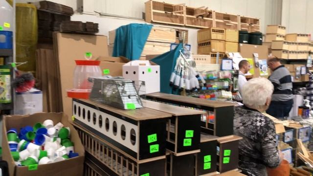 Taben Messe DBA 2018 Dortmund/ Причиндалы для голубей смотреть онлайн
