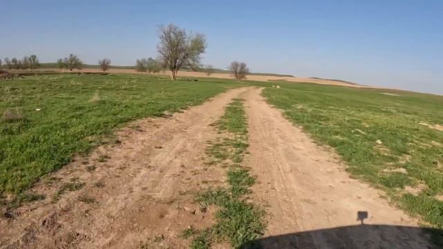 автопрагулка#Степь#ах ты степь широкая#Автопрогул#казахстан смотреть онлайн