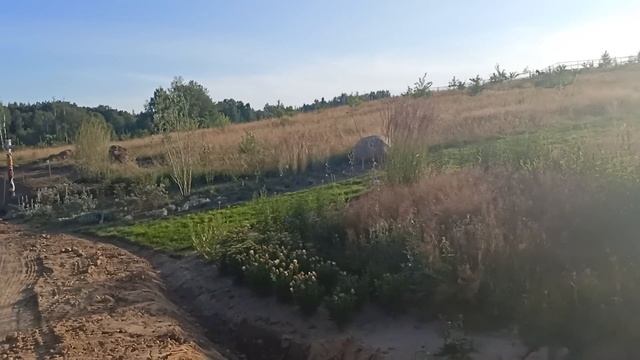 Немного о поливе, жаре и растениях. смотреть онлайн