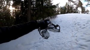 На мини лыжах зимой по лесу (snowfeet)