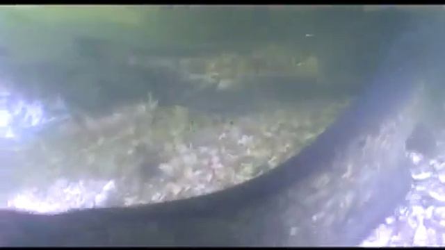 Рыбалка зимой и не только смотреть онлайн