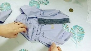 МК+выкройка трикотажного комбинезона для собаки