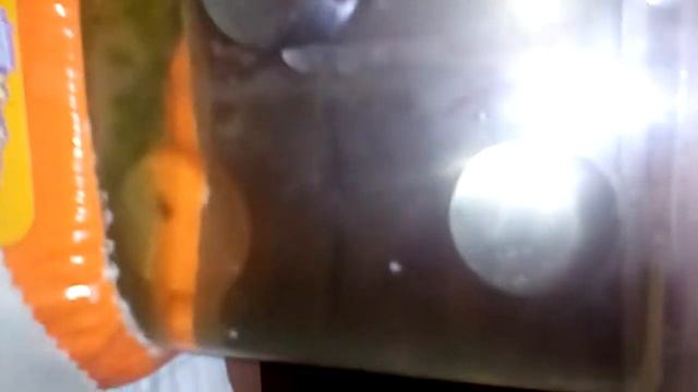 мои домашние насекомые смотреть онлайн