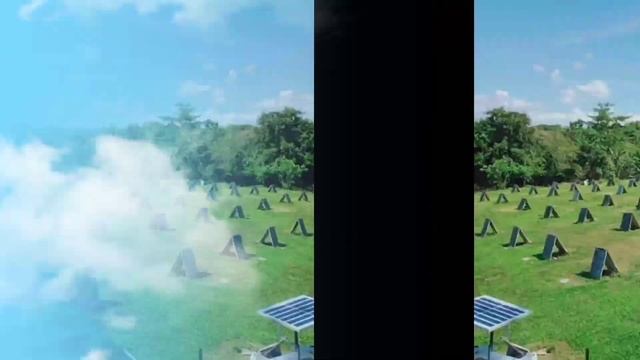 SAN MIGUEL GAME FARM ??? смотреть онлайн