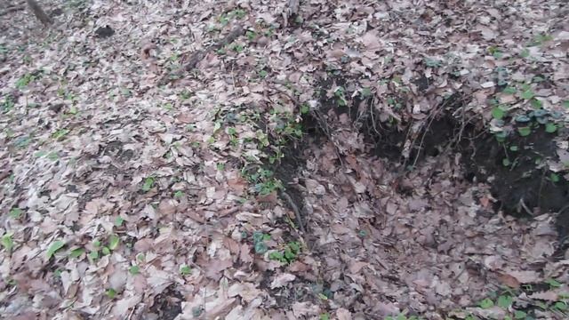 Распаханный в поле древний курган. Второй поход к кургану. #221 смотреть онлайн
