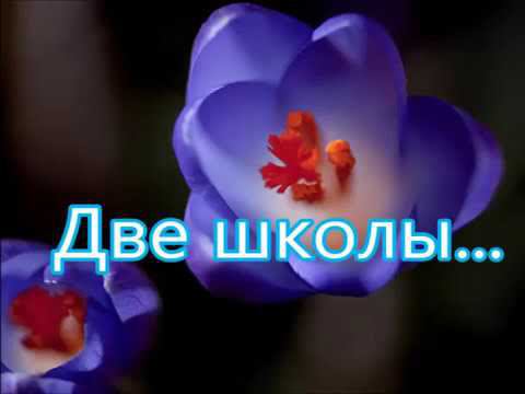 Две школы смотреть онлайн