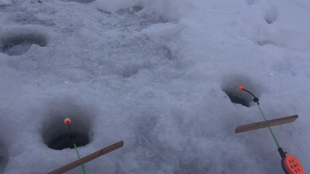 Рыбалка на хариуса пробная смотреть онлайн