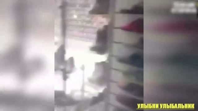 ПРИКОЛЫ МАЙ 2018 смешное видео ржака #4 смотреть онлайн