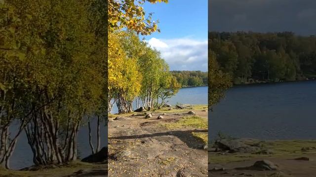 Уж небо осенью дышало... Фонтан на Семёновском озере. #Мурманск #осень #сентябрь #фонтан #басенджи смотреть онлайн