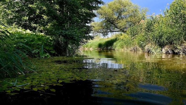 ДОРОГА В ТАРХАНЫ (ПЕСНЯ НА ГИТАРЕ) / АВТОРСКАЯ ПЕСНЯ ПОД ГИТАРУ смотреть онлайн