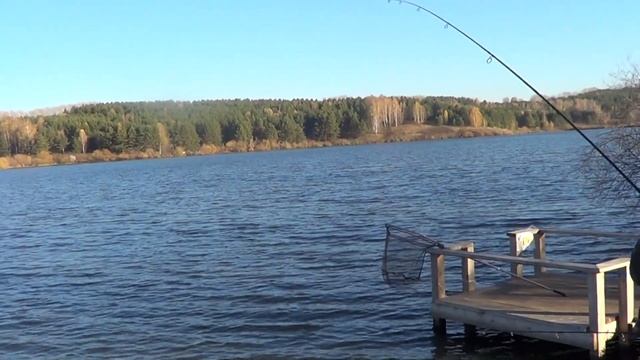Рыбалка на коммерческом водоёме "Коновалово" 7 октября 2018 смотреть онлайн
