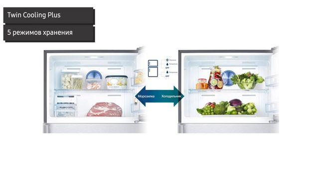 Холодильник Samsung RT5000 (RT35K5440S8) с двухконтурной системой Twin Cooling Plus, 362 л смотреть онлайн