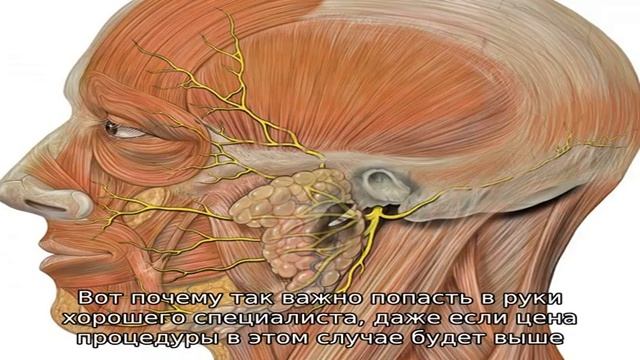 После «Ботокса» опустились веки: что делать? смотреть онлайн