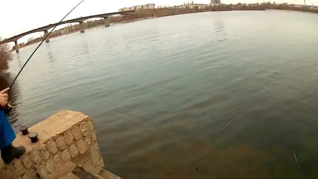 Street fishing.Что можно поймать на микроджиг в городе ноябьрским вечером?!! смотреть онлайн