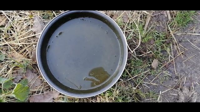 30 апреля. Рассада сельдерея и мяты в открытом грунте после заморозка. Всходы рукколы и редиса. смотреть онлайн