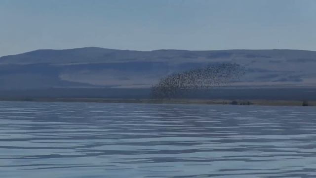 ✈Mammoth Lakes, California ►Vacation Travel Guide смотреть онлайн