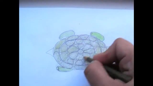 How to draw. How to draw a turtle step by step №15 смотреть онлайн
