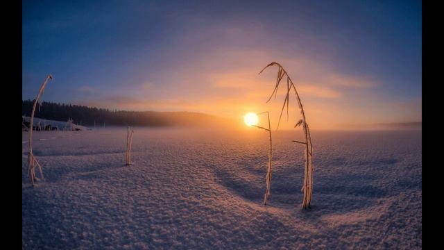 ЗИМНИЙ ДЕНЬ 1