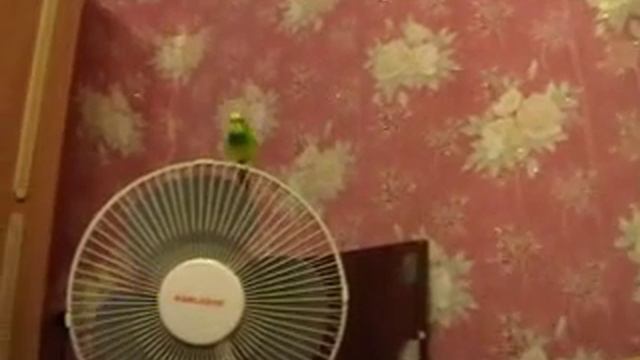 первые попытки говорить смотреть онлайн