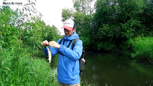Ловля щуки на малых реках. Беларусь. Река Эсса. смотреть онлайн