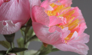 Цветы из бумаги. Пионы из гофрированной бумаги своими руками, МК / DIY Crepe paper peony