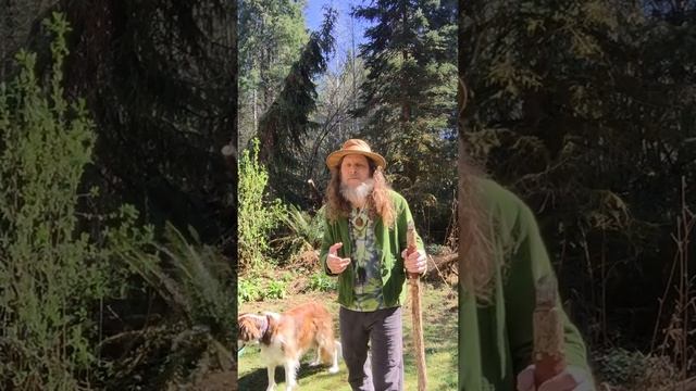 Introduction to Adventures with Caveman смотреть онлайн
